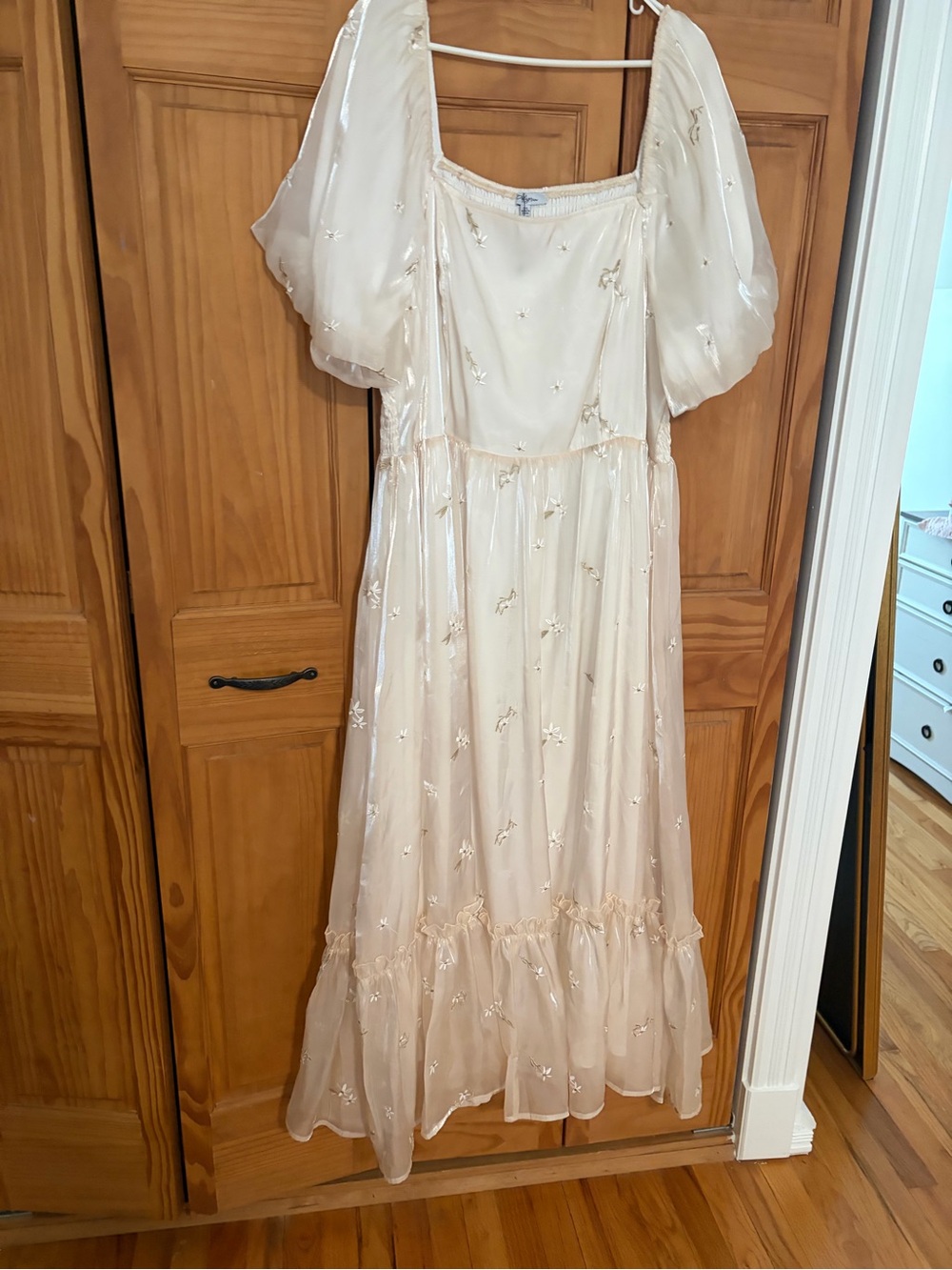 Sheer Puff-Sleeve Maxi Dress in Champagne 3XL Never worn!